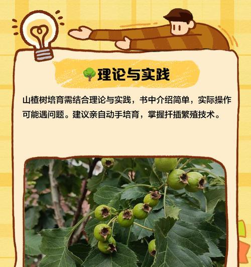 山楂树种植技巧：从选种到管理的全面指南