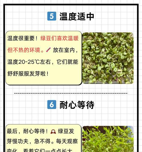 豆角催苗的科学方法：催芽技巧大揭秘