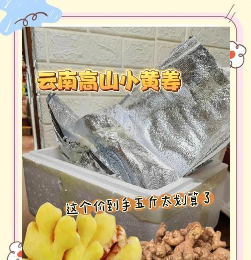 家庭种小黄姜怎么催芽
