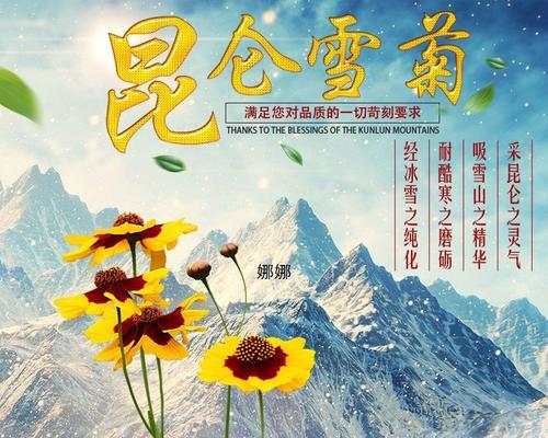 高原雪菊种植指南：从播种到收获的全面教程