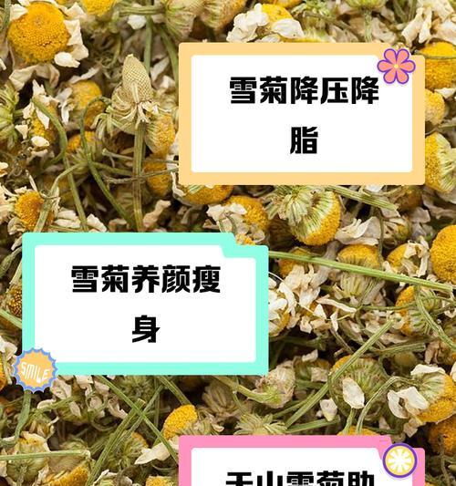 高原雪菊种植指南：从播种到收获的全面教程