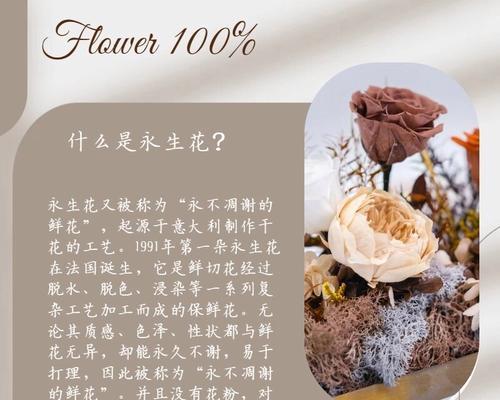 大鹏怎么催芽种子：全面指南助您成功培育幼苗