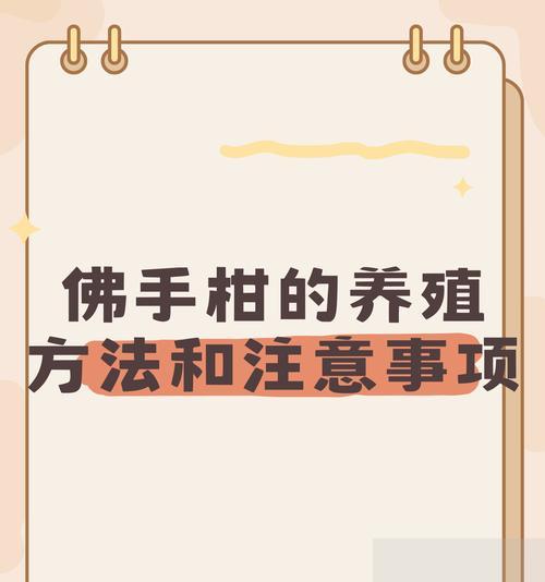 佛手新叶修剪枝叶的正确方法