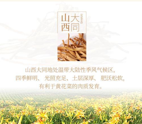 鲜黄花种植完全指南：从播种到收获的详细步骤