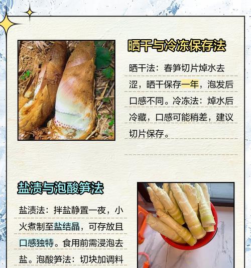 小笋在家怎么种植方法