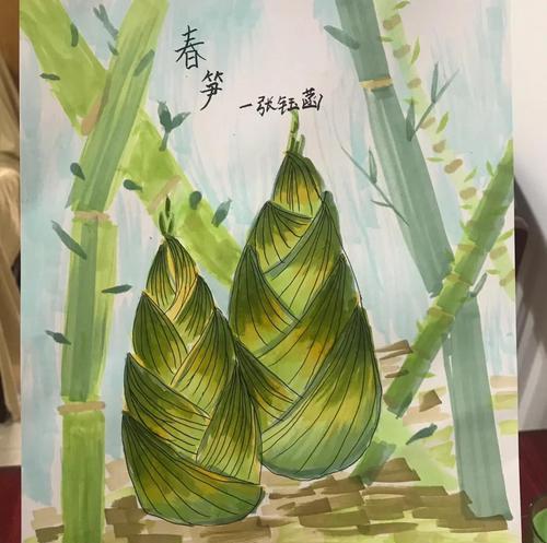 小笋在家怎么种植方法