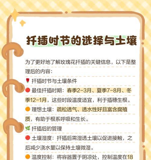 玫瑰花的种植方法全攻略