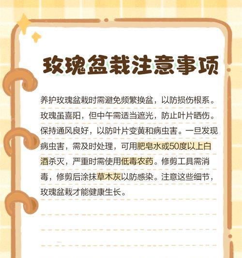 盆栽玫瑰种植方法：精心培育，绽放美丽