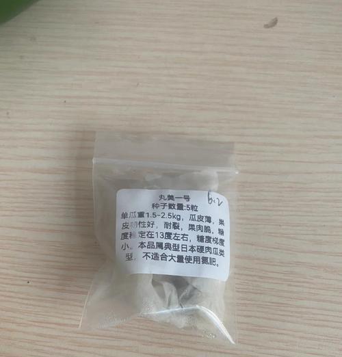 大种子的催芽艺术：全面指导与技巧