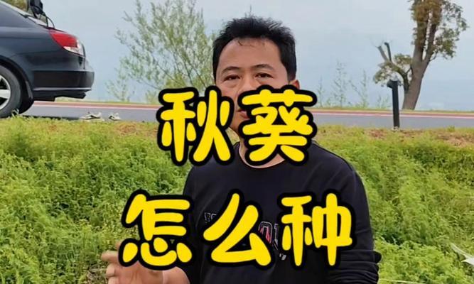 秋葵怎么种植方法如下
