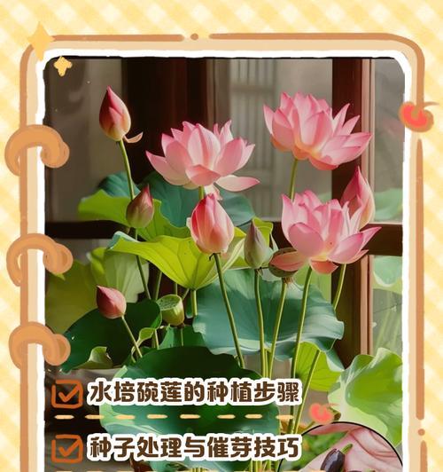 水培怎么种植方法