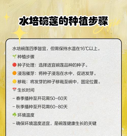 水培怎么种植方法