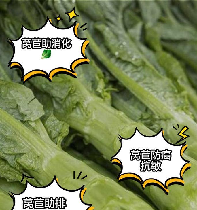 莴笋怎么催芽和种植