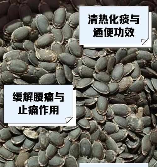 丝瓜籽怎么催芽最快