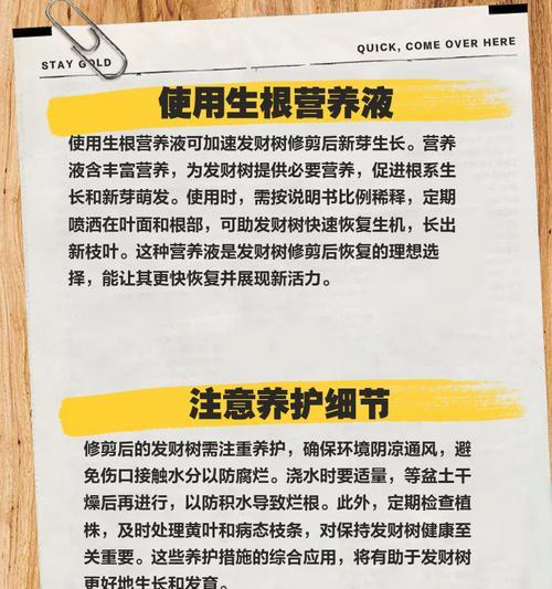 树木移栽后怎么催芽呢