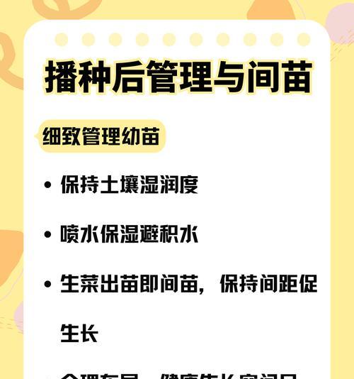 种植一片生菜的全步骤指南