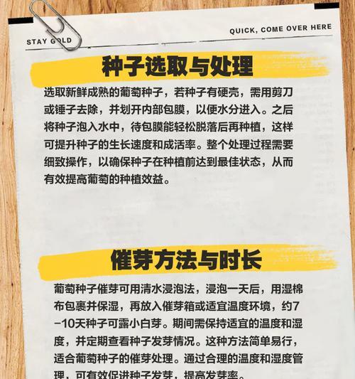 移植葡萄，种植成功的关键