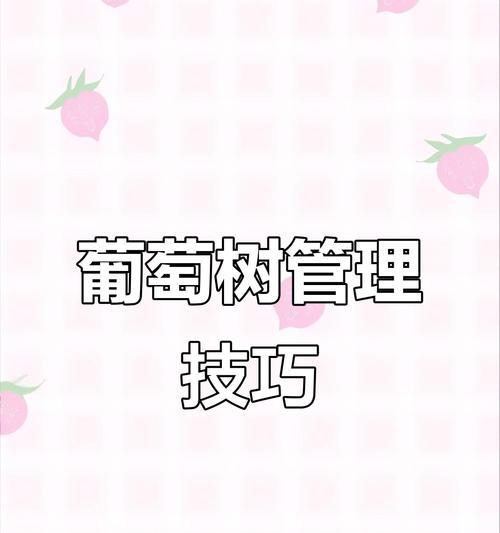 移植葡萄，种植成功的关键