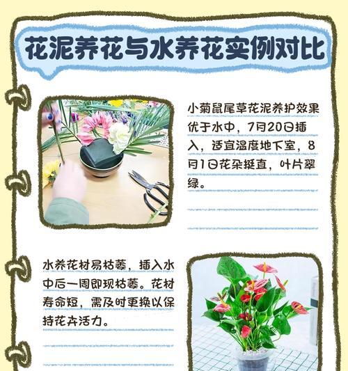 水栽花的修剪技巧：让你的植物更健康、更茂盛