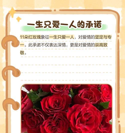 菊花品种有哪些？菊花品种大全及其养护要点