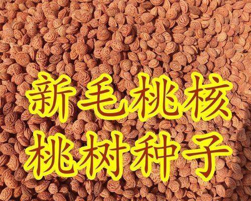 毛桃子催芽技术指南：自然催生生命的艺术