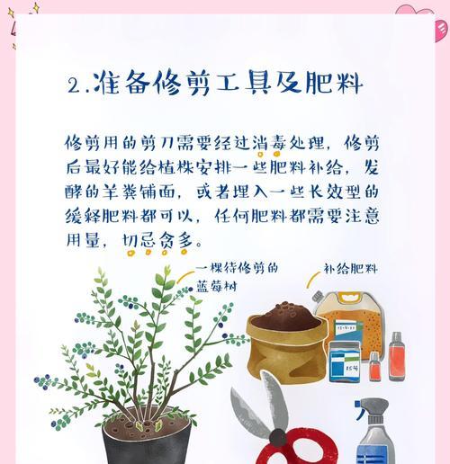 蓝莓养护修剪枝条的全面指南