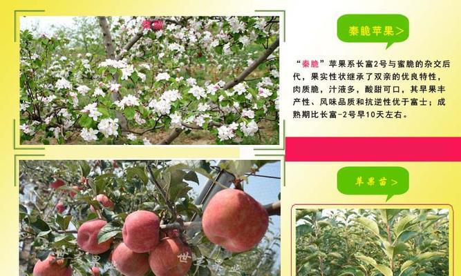 地形树种植方法指南