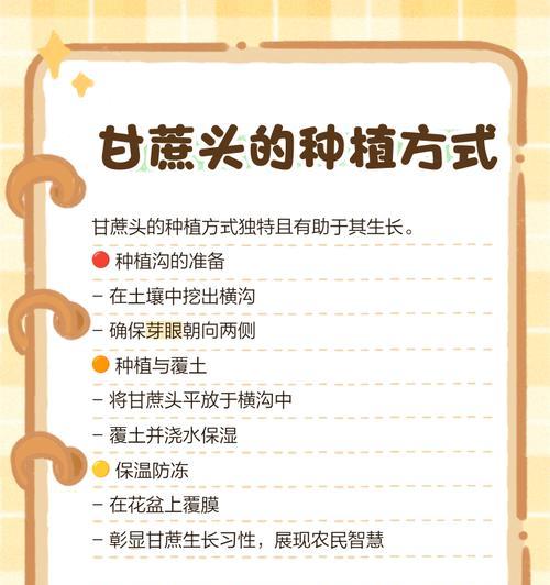 甘蔗种植方法：从选地到管理的全面指南