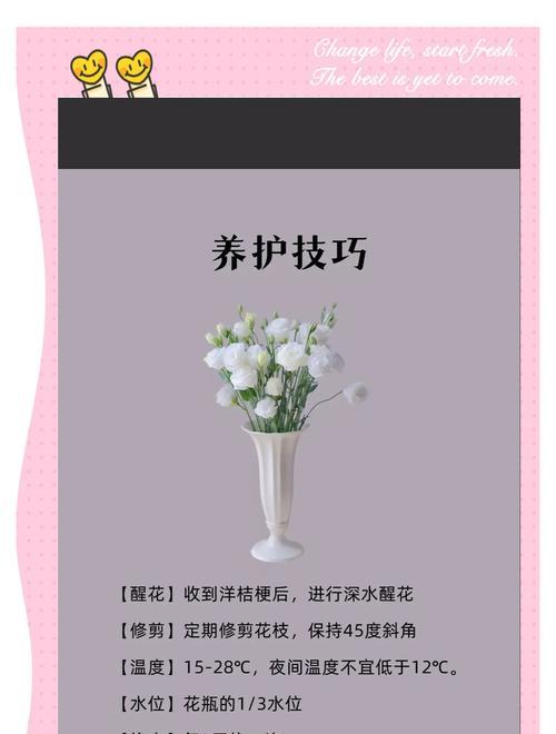 桔梗花枝的种植方法和技巧