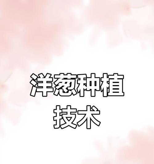 洋葱在家怎么种植方法