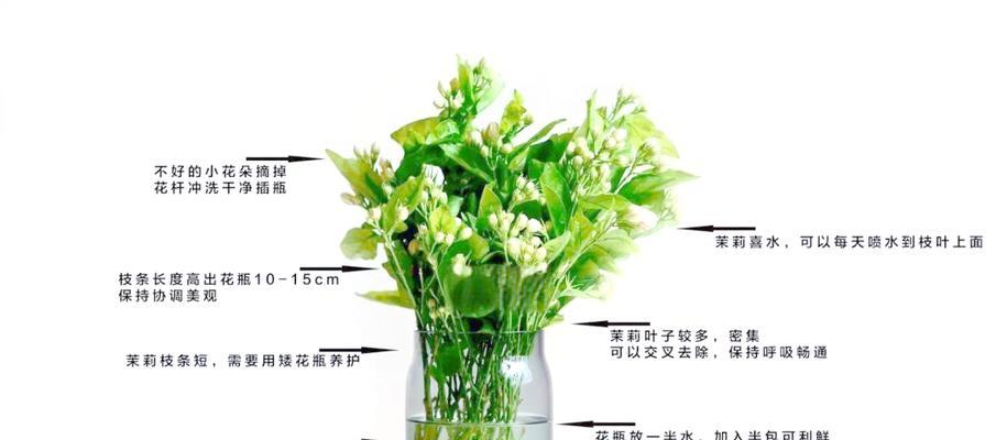 切花秋天怎么修剪枝条
