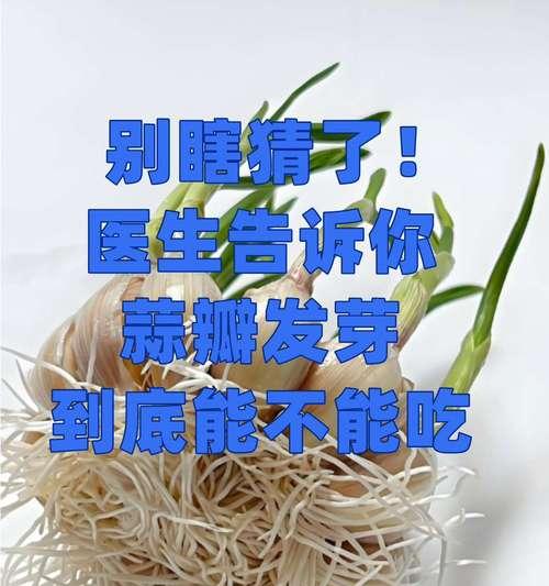 毒蒜催芽技巧揭秘：如何有效促进蒜种发芽？
