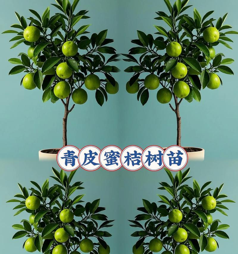 蜜桔枝干怎么修剪枝条——掌握技巧，促进果树健康成长