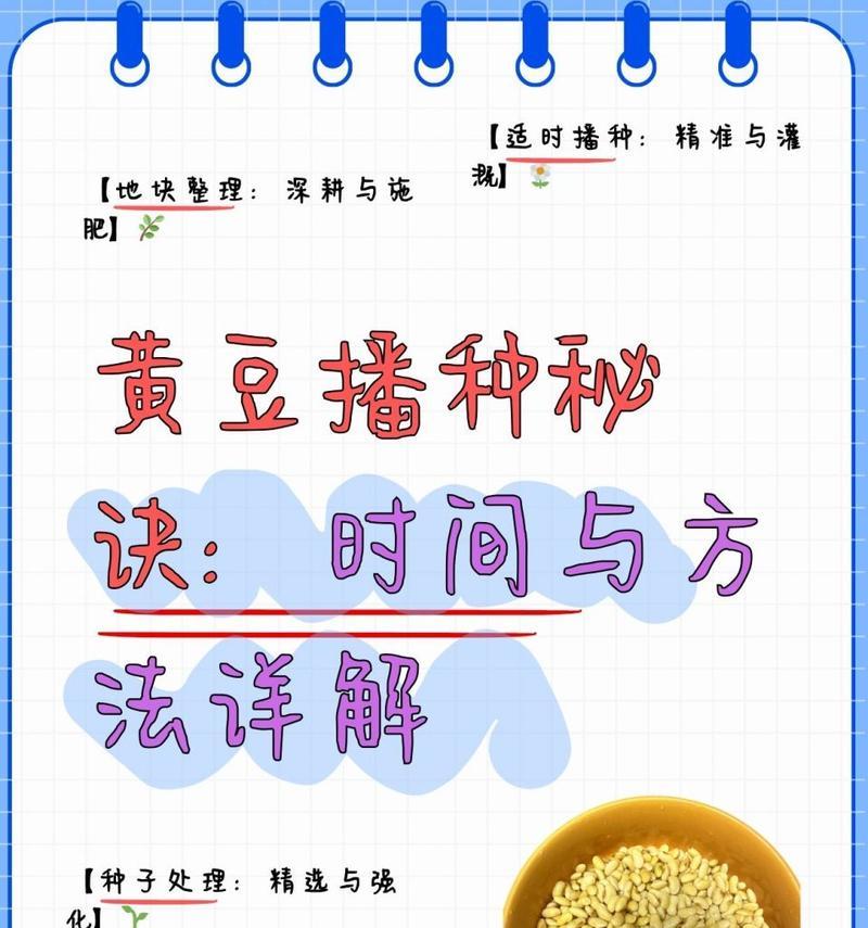 黄豆苗种植指南：从播种到收获的完整步骤