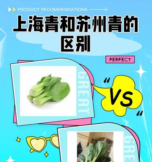 上海青怎么种植方法