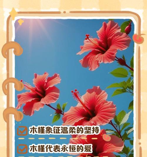 松槿花象征着什么？松槿花的含义和文化背景是什么？