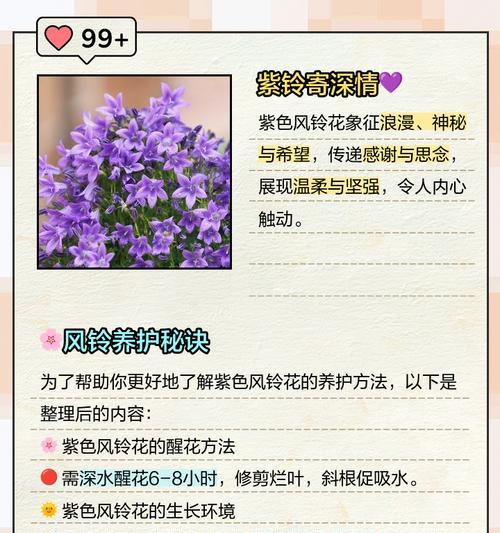 风铃花的寓意是什么？如何正确理解风铃花的象征意义？