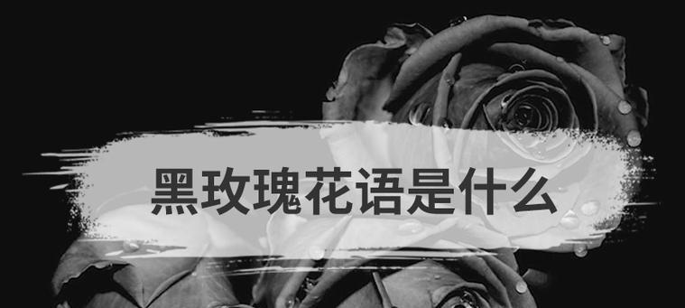 代表绝境的花语是什么？哪种花象征着困境与挑战？