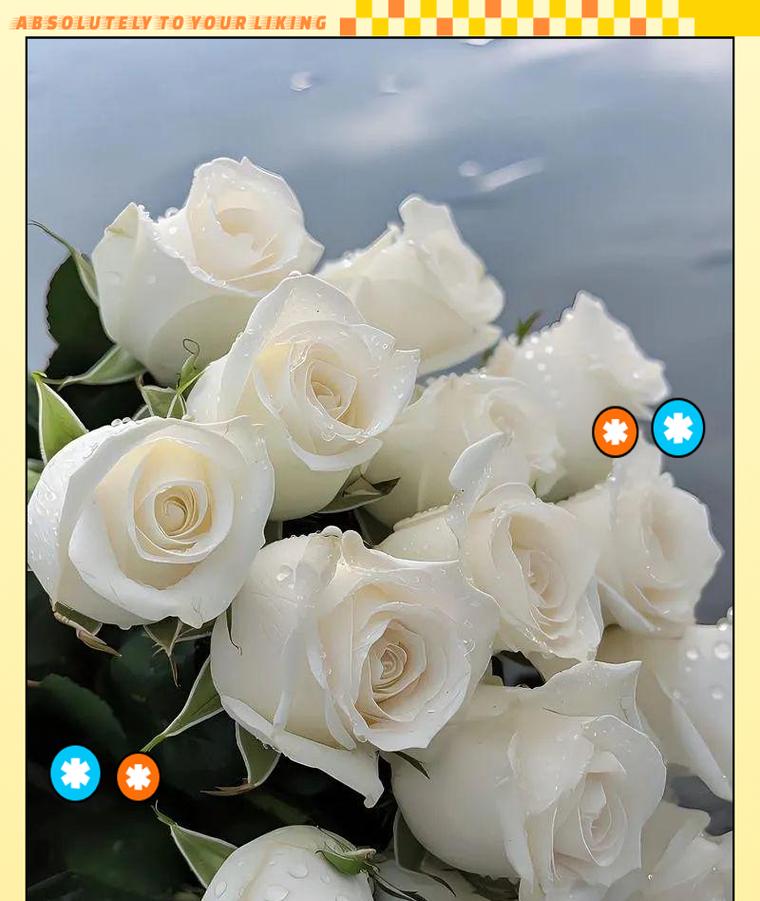 白色的玫瑰花代表什么？白色玫瑰花语有哪些含义？