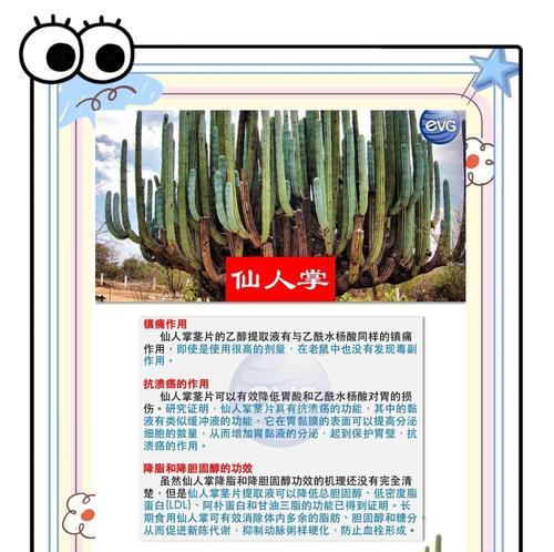 仙人掌的花语是什么？如何正确解读仙人掌的象征意义？