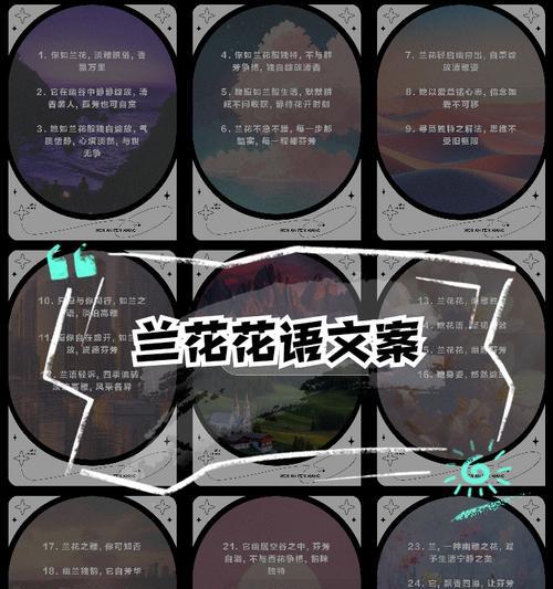 兰花的花语是什么？不同种类兰花的寓意有何不同？