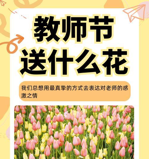 什么花象征对老师的爱？如何选择表达敬意的花卉？