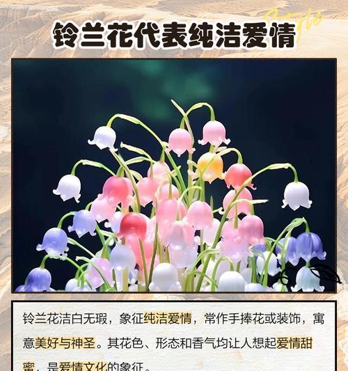 兰铃花的意义和象征是什么？了解其背后的文化和象征意义？