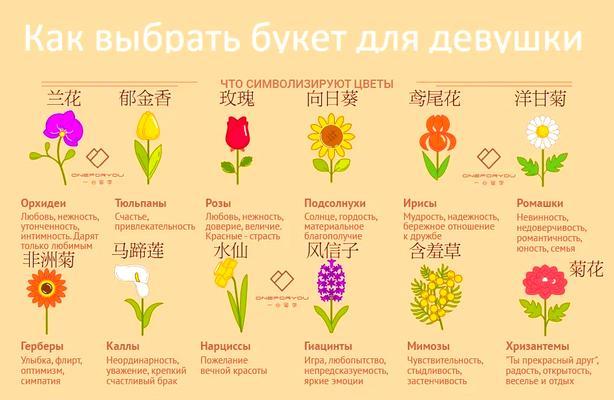 俄罗斯象征花的植物是什么？它在俄罗斯文化中扮演什么角色？