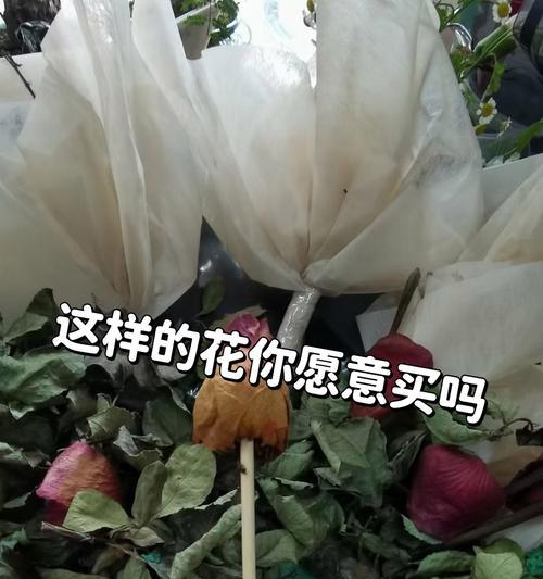 寓意对不起的花是什么？哪种花代表道歉和歉意？