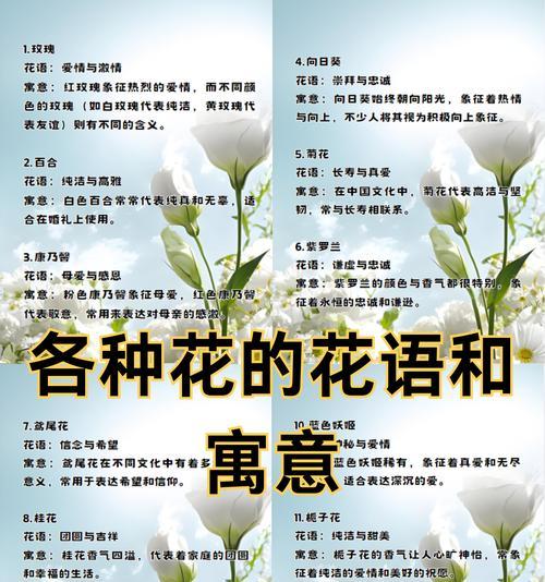紫荆玫瑰代表什么意思？花语背后的故事是什么？