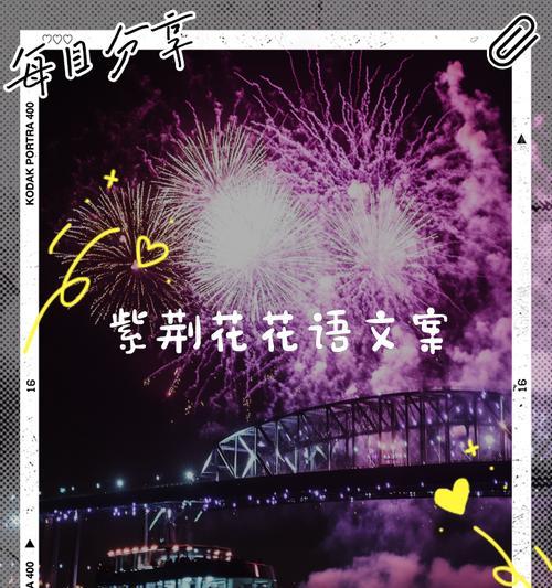 紫荆玫瑰代表什么意思？花语背后的故事是什么？