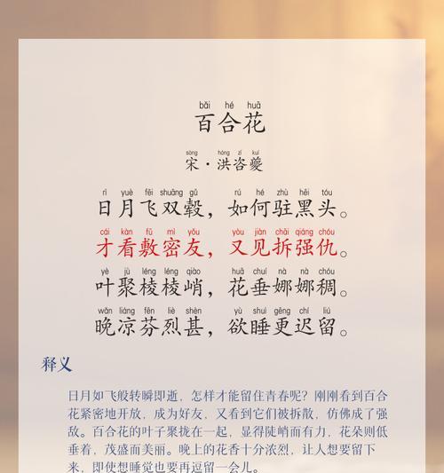 百合花语每朵代表什么？不同数量的百合花有何特殊含义？