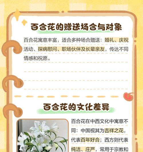 百合花语每朵代表什么？不同数量的百合花有何特殊含义？