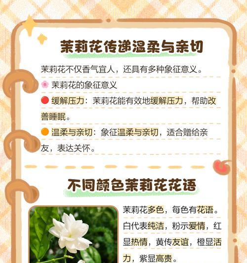 珍爱花朵的花语是什么？如何表达对花朵的珍爱之情？